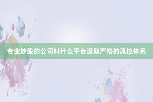 专业炒股的公司叫什么平台汲取严格的风控体系